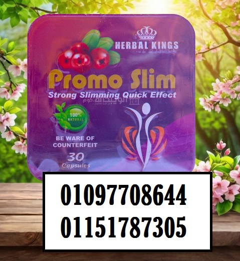 70eb0c0b4b8ea632cd7ce1d52e2d46a6