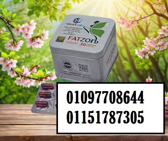 70eb0c0b4b8ea632cd7ce1d52e2d46a6