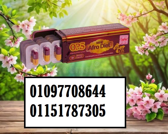 70eb0c0b4b8ea632cd7ce1d52e2d46a6