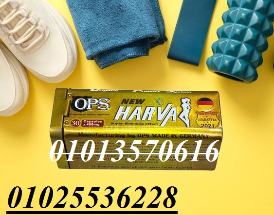 507981866_1191203073021740_2534708366889791997_n