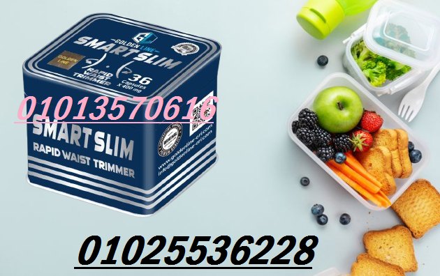 508752793_1195279715947409_2217761631377003473_n
