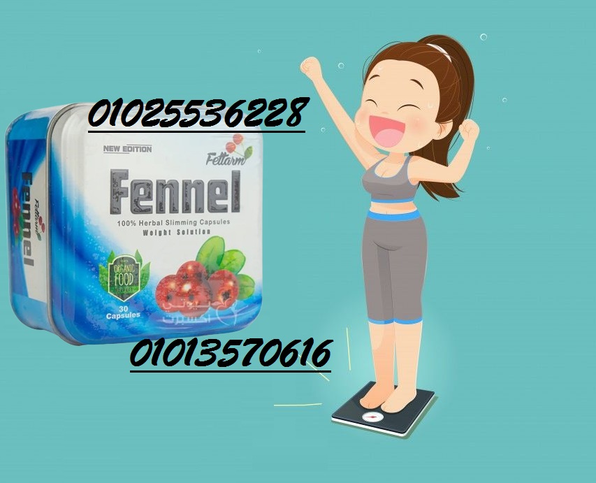 509273188_1195346829274031_6485268343770519999_n