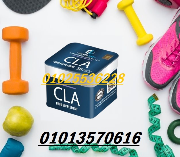 509357441_1195308385944542_4720245995441570294_n