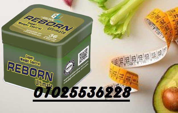 510247989_1195223925952988_5154104830037282969_n