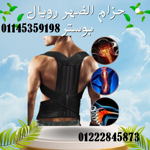حزام الظهر والعمود الفقري الطبي رويال بوستر