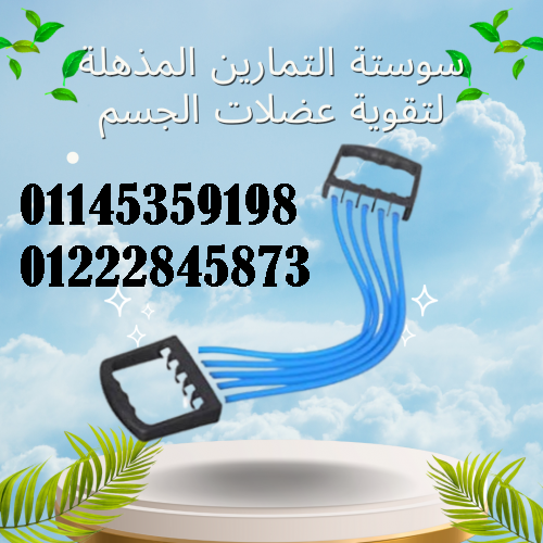 سوستة التمارين
