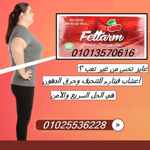 513917227_1203470105128370_7395677262593311098_n