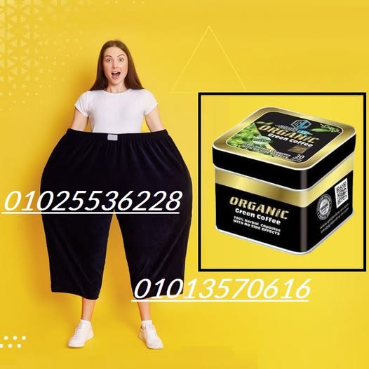 514002679_1203536085121772_9023075401458503845_n