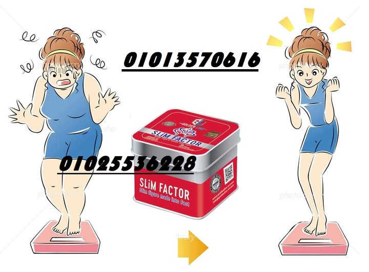 514667885_1206002061541841_7267335860310285294_n