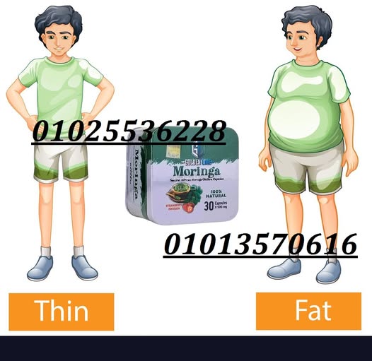 515273133_1206097678198946_5593710253672255537_n