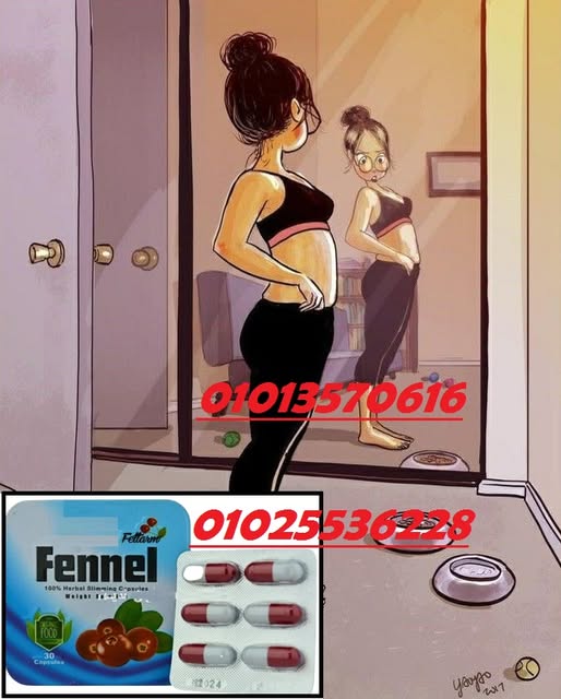 515282196_1206067101535337_8065492839558491827_n