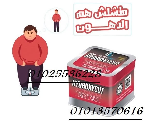 515641350_1208785201263527_4021299516833886949_n