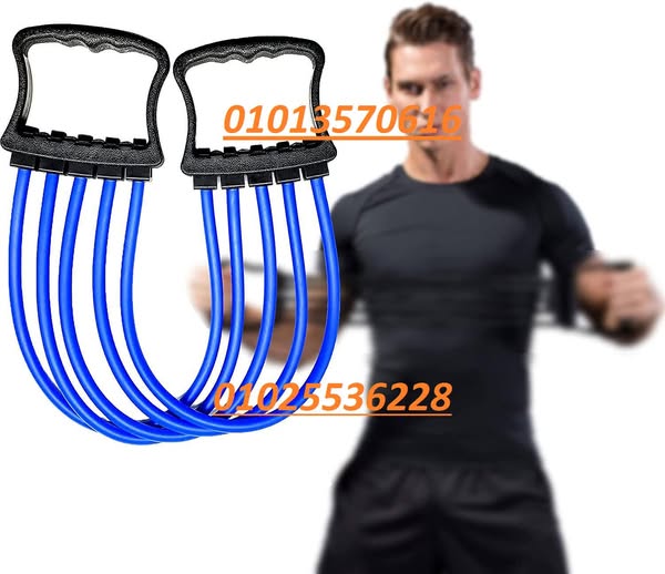 516564093_1209681544507226_8811711973997702922_n
