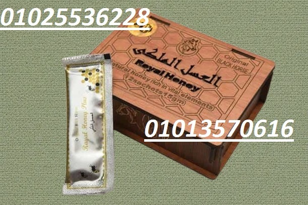 517707036_1408525877946468_7379955847755031518_n