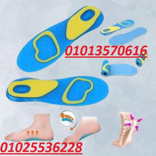 518345113_1215597323915648_1225945366970135269_n