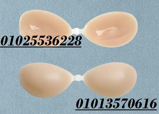 518408196_1408529551279434_777063425794256849_n