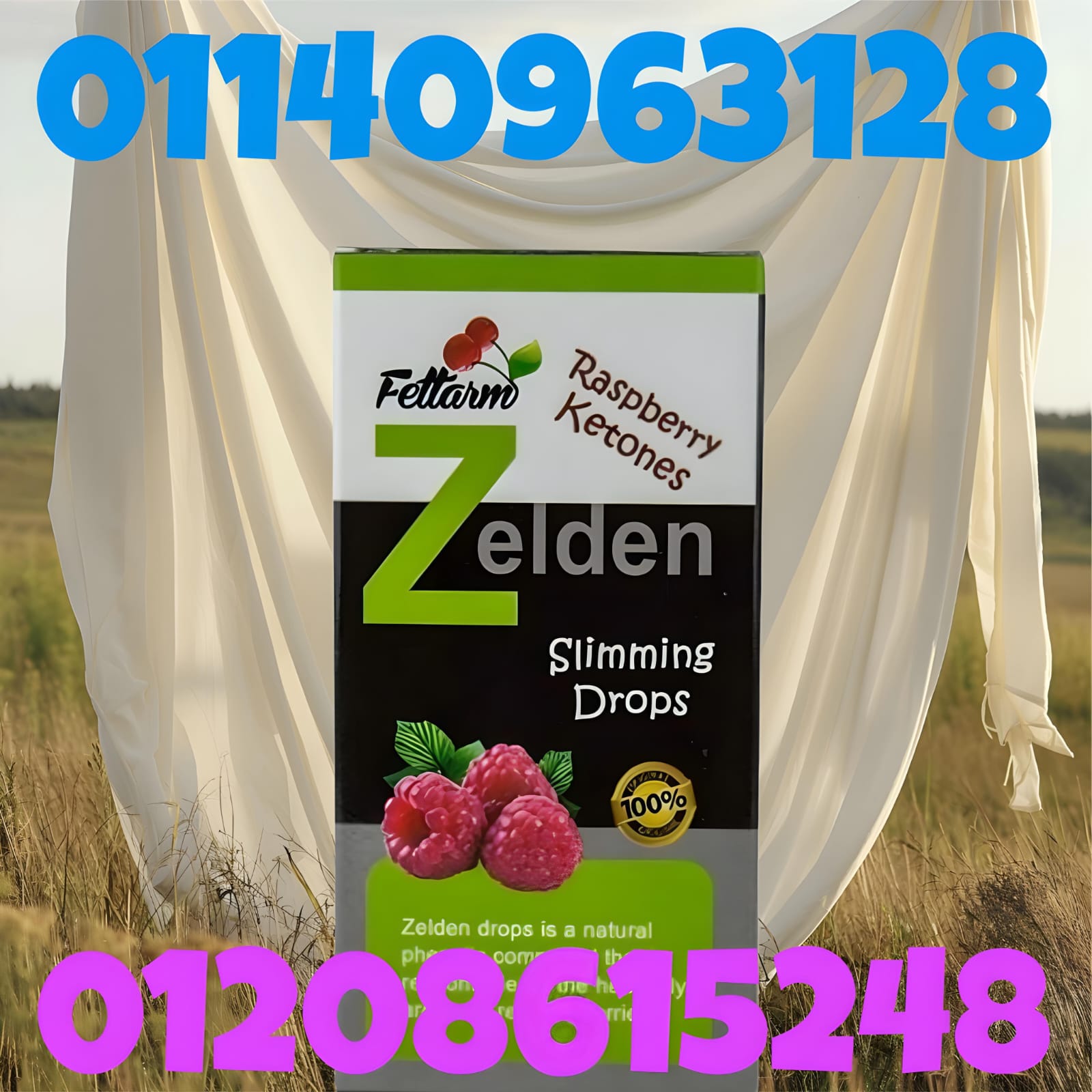 ca2548e5-da4b-45fb-bd9e-7753ed446c0b