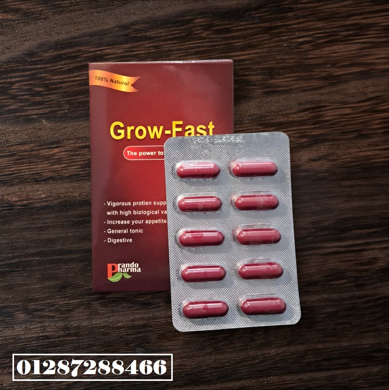 527890363_122105952764960288_6928617360077230654_n