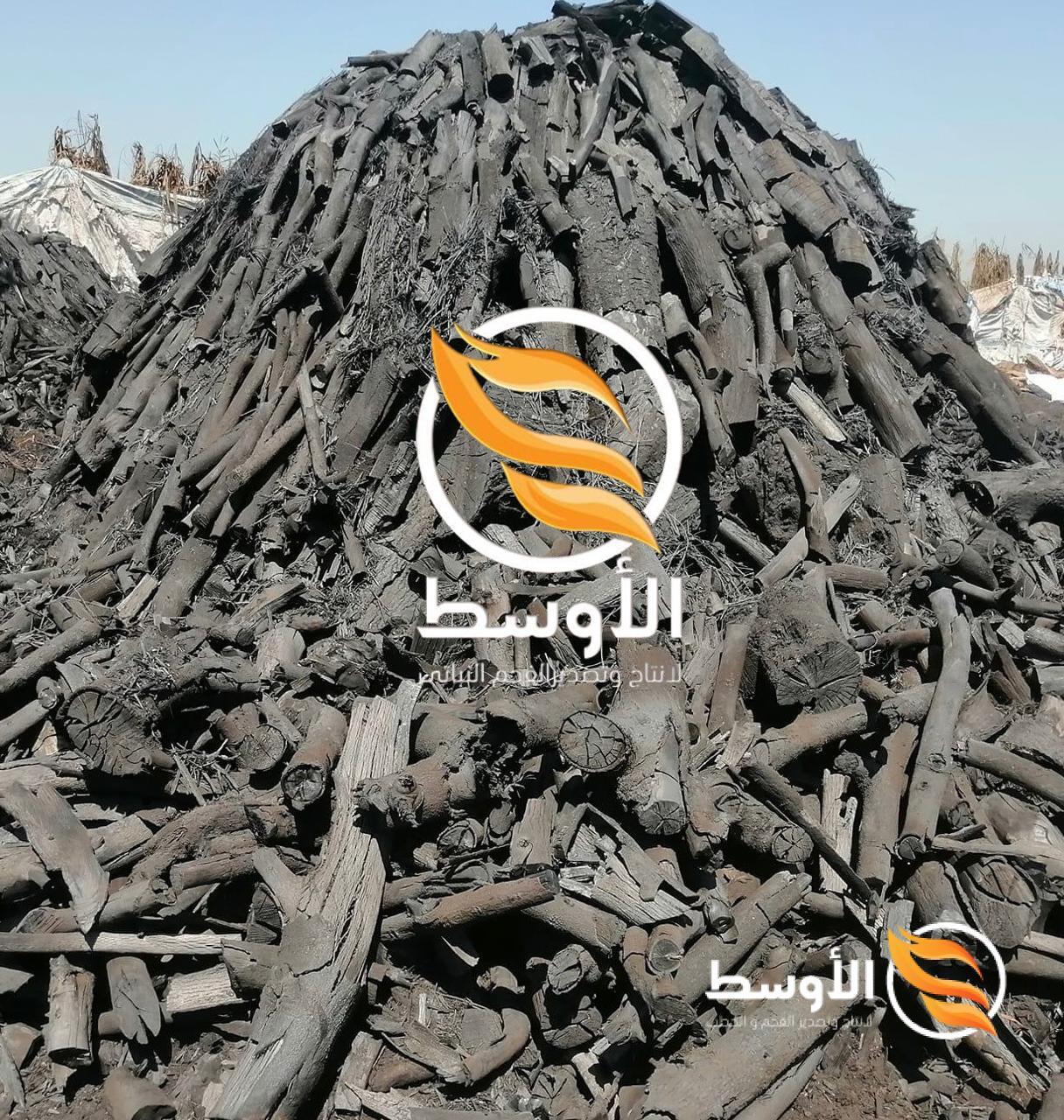 casuarina-charcoal (1)