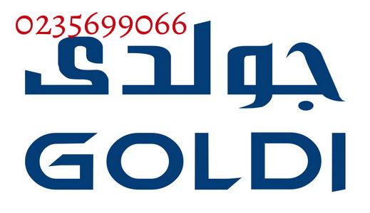 GOLDI Logo24