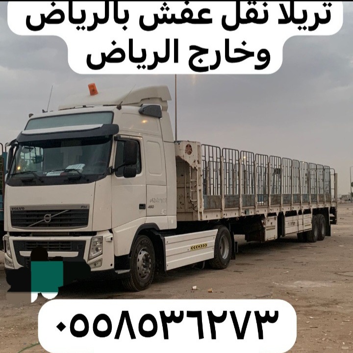 Screenshot_٢٠٢٥٠١١٤_٠٣١١١٣_Gallery