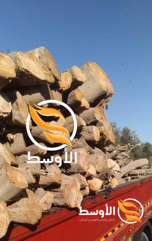 خشب-زيتون-e1722031610692-505x800