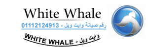 وايت ويل
