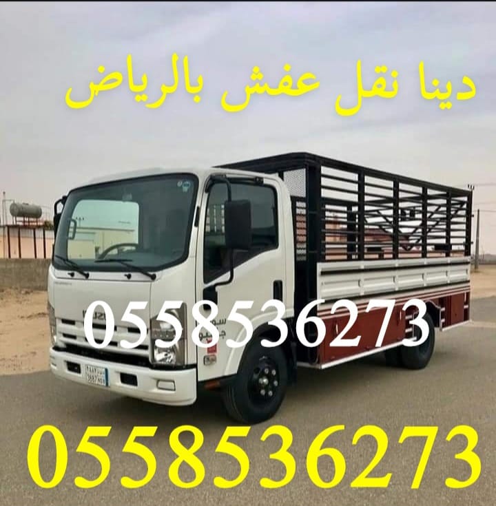 ٢٠٢٥١٠٠٧_٠٧٢٥١٣