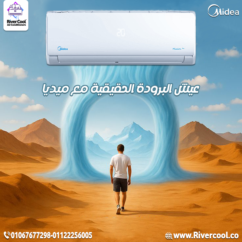 55ميديا