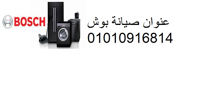 بوش (2)