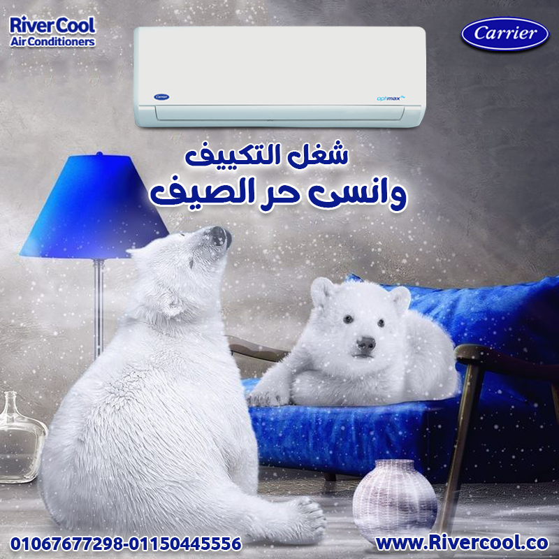 كاريير22