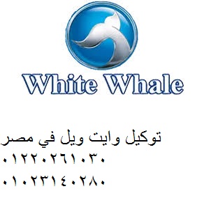 وايت-2