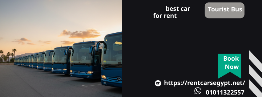 Tourist Bus (72)