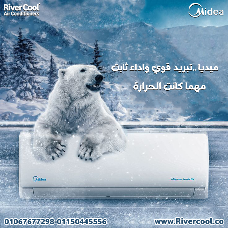 مي  ديا